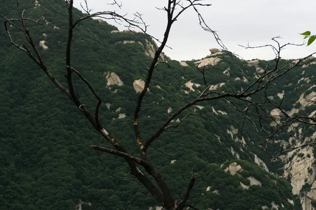 Mount Huashan